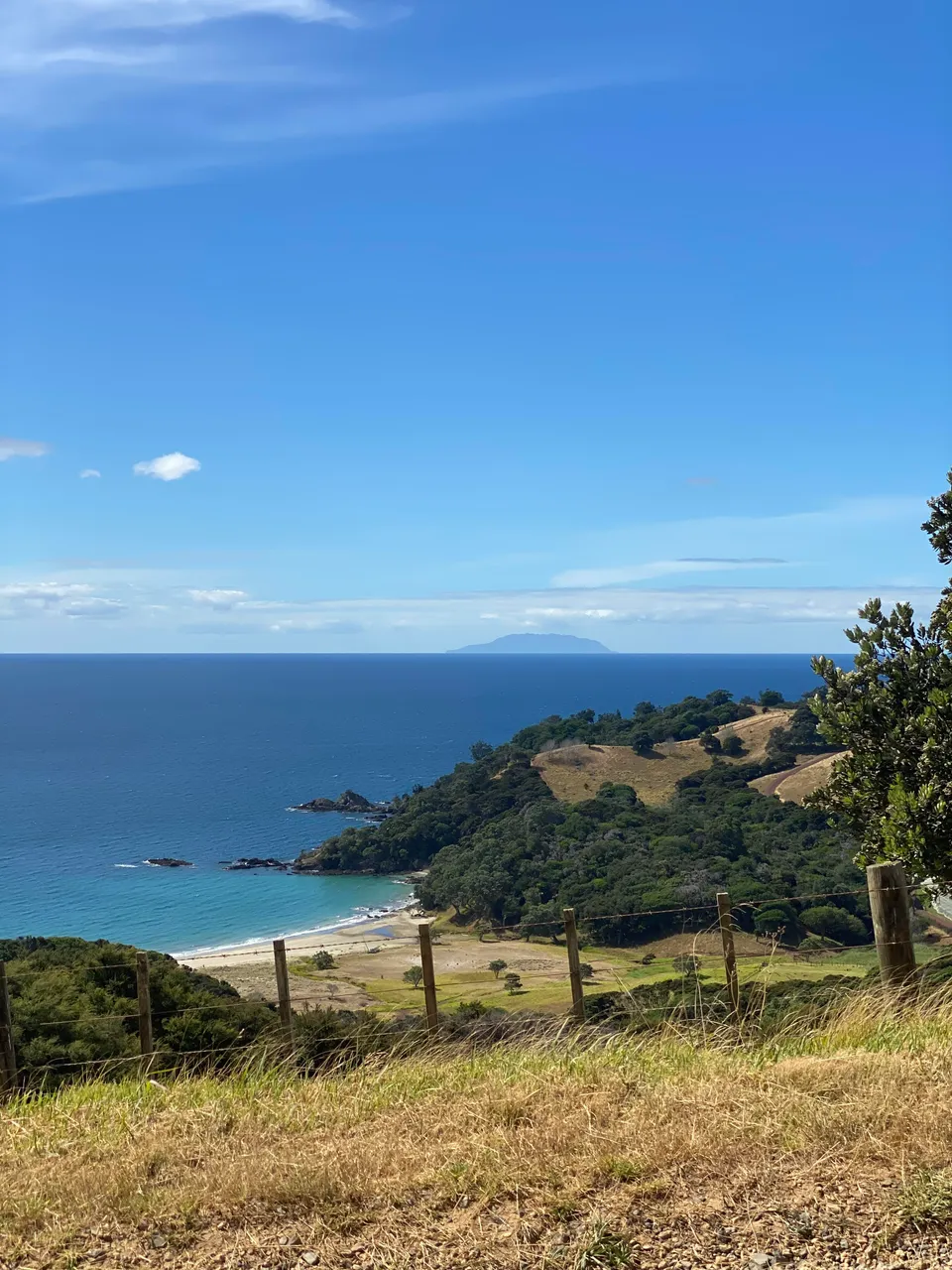 Waiheke, gin, New Zealand